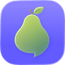 Nashi icon