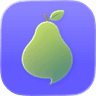Nashi icon
