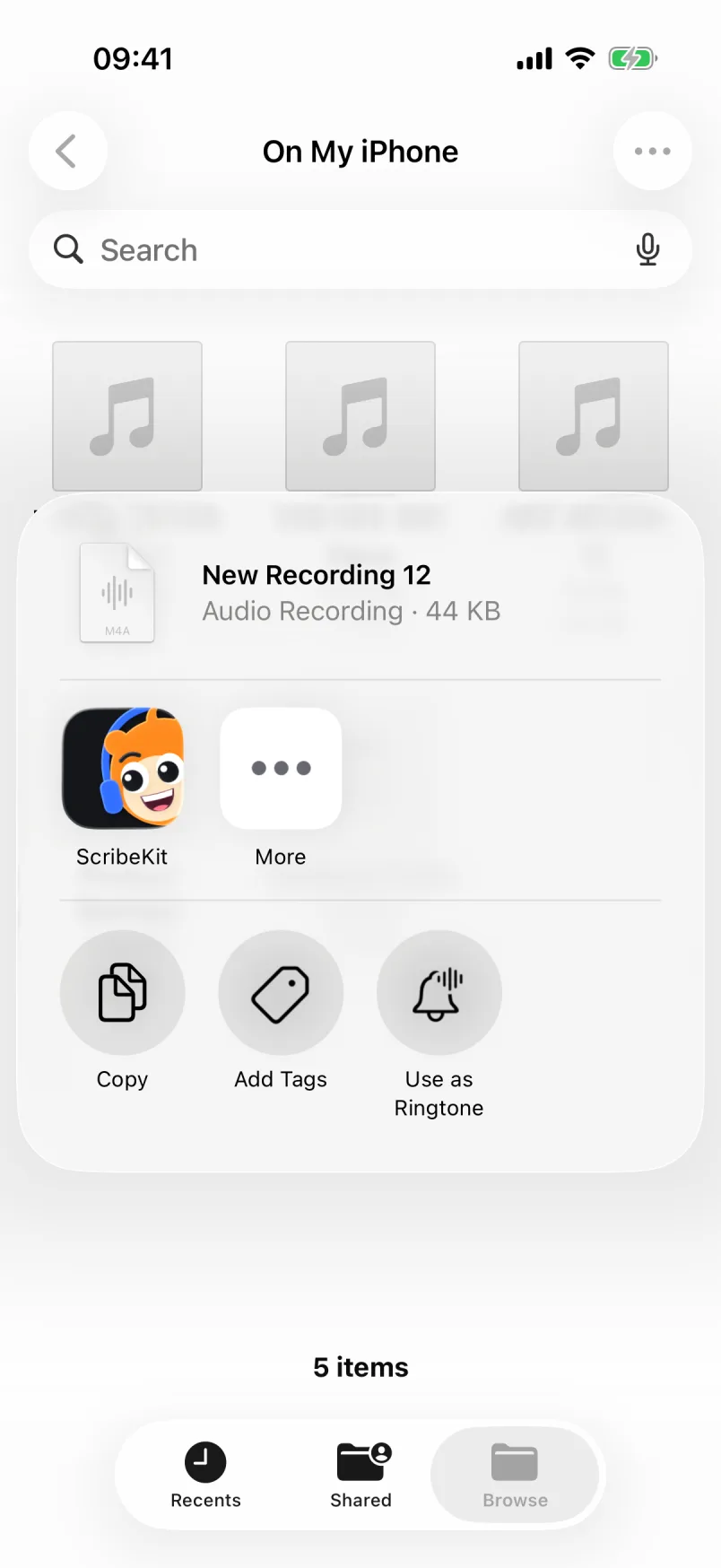 The iOS share sheet from the Files app with ScribeKit listed as a destination
